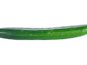 Concombre