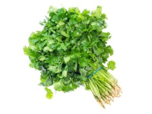 Coriandre Fraîche – Botte Aromatique – Vente à la Pièce